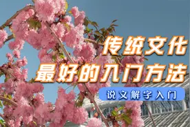 这一定是传统文化最好的入门路径视频封面