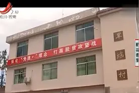 第一次种蔬菜 亩产收益达到上万块 辣椒苗子还能无限生长视频封面