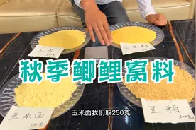 四种秋季野钓材料，鲫鲤窝料配方，自己做简单方便视频封面