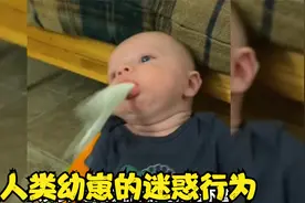 爹妈为驯服人类幼崽的迷惑行为，看到最后一个憋不住笑了视频封面