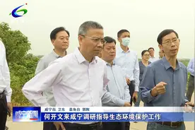 何开文来咸宁调研指导生态环境保护工作视频封面