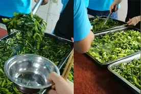 工厂食堂清一色的素菜！打饭阿姨完全不手抖，网友：吃肉犯法吗？视频封面