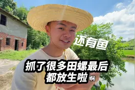 不会吧，乌龟吃我抓的鱼，为什么猫不吃我做的菜？视频封面