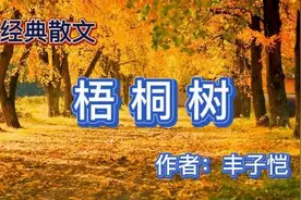 经典散文  《梧桐树》作者：丰子恺视频封面