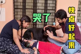 狗守在生病的小主人前，伤心的流下了眼泪，网友：我要10个此爱宠视频封面