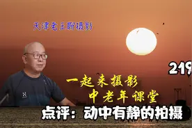 佳能24-70拍摄柳枝，点评作品，主要问题是构图无取舍，找准精彩视频封面