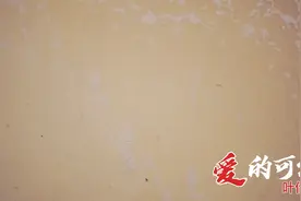 爱的可能 - 叶倩文『因为你有你的人生，我有我的旅程』#经典歌曲视频封面