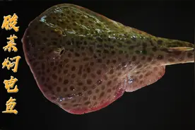 海里面为数不多会发电鱼的，威力十足，煮出来汤鲜肉质嫩滑视频封面
