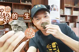 鳄鱼哥：参观同学家的沉香种植基地，揭开价值上千1克香料的面纱视频封面