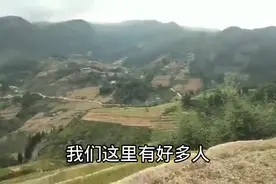越南苗族为什么不种水果和种玉米呢这个田太干也种不了谷子嘛视频封面