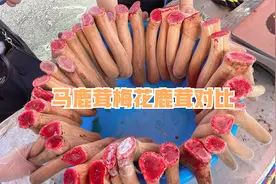 鹿茸市场，马鹿茸和梅花鹿茸效果一样吗？外观什么区别视频封面