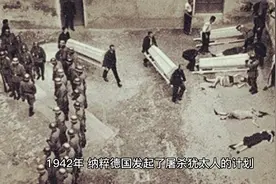 二战中纳粹德国的种族灭绝计划 (1)#关注我每天分享不同的故事视频封面