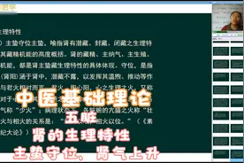 中医基础理论-五脏-肾的生理特性：主蛰守位、肾气上升视频封面