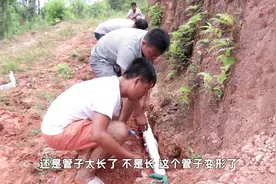 养殖户查看鱼塘断水原因，发现水管不翼而飞，叫来一帮朋友视频封面
