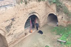实拍：初冬时节，山西农村地坑院里的农民真实生活，看他们在忙啥视频封面