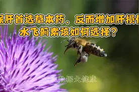 保肝首选草本药，反而增加肝损伤，水飞蓟素该如何选择？视频封面