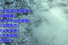 《土巴海尔的眼泪》《镇断魂》《习惯失恋》《左手指月》《野花》视频封面