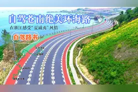 自驾苍南绝美环海路，在浙江感受“夏威夷”风情，体会道教文化！