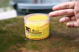 养多肉植物施什么肥？园艺师教你，用多肉专用肥，一罐能用几年视频封面