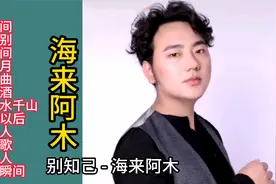 海来阿木经典歌曲13首联唱视频封面