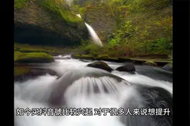 抖音的荣誉等级高了有什么特权吗