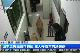 山羊走失民警帮找回 主人拎着羊肉汤答谢视频封面