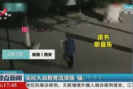 陕西西安·高校大叔教育流浪猫 猫：？？？