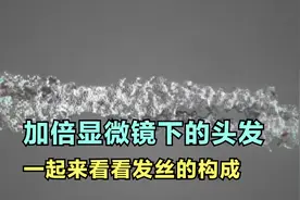 将头发放大到极致，一起来看看你发丝的组成结构！
