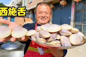贝类中的极品“西施舌”，做蒜蓉蒸贝属实名不虚传，10斤不够吃视频封面