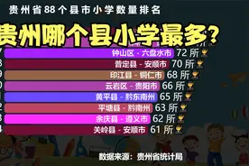 贵州省88个县小学数量排行榜，猜猜贵州哪个县小学最多？视频封面