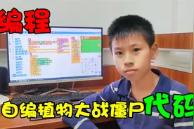 小男孩自学编程，自己写代码画素材，编的植物大战僵尸难度太高了视频封面