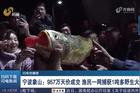 “一网暴富”！宁波渔民捕获1吨多野生大黄鱼，卖出957万元天价视频封面