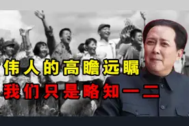 千万知青上山下乡，多年以后，许多人终于明白毛主席的良苦用心视频封面