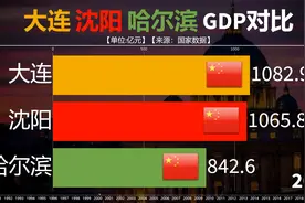 东北三大城市历年GDP对比，沈阳大连和哈尔滨谁会是龙头？视频封面