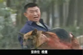 警犬：警犬被拐到狗肉店，还被打得遍体鳞伤，警官一脚踹飞打狗人视频封面