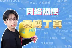 【网梗课代表】赛博丁真是什么梗？视频封面