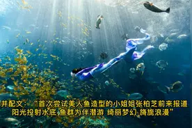 张柏芝首次解锁美人鱼造型 水下潜游与鱼群为伴视频封面