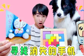 智力拼图闯关挑战，寻找“消失的手机”，最后一关只有狗能完成！视频封面