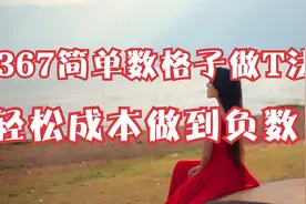 将默认坐标设置成这个参数，简单数格子做T，轻松成本做到负数！视频封面