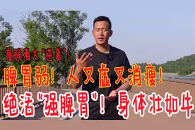 脾胃弱，身体就瘦！绝活“健脾功”，让你脾胃动力足，身体壮如牛视频封面