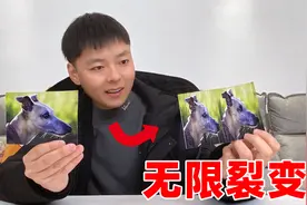 网传，把一张照片切碎后就能无限裂变，这怎么可能？视频封面