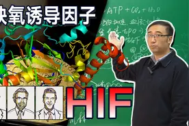 癌症治疗又有新方法！李永乐老师讲HIF缺氧诱导因子【诺贝尔1/3】视频封面