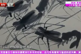 齐白石的虾50万一只，不同时期有不同特点，史国良用真迹详细描述视频封面