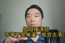 给母猪清宫不等于简单的灌一瓶宫炎清！很多新养猪的朋友都做错了视频封面
