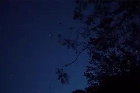 虫鸣归旧里,田野秋农闲！乡间夜晚虫鸣声·帮助睡眠、解压放松。视频封面