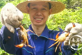 抓螃蟹这个方法很实用，咸鱼当诱饵，两个地笼就抓到大半桶！视频封面