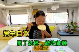 高速回家第2天，中午累了服务区睡一觉做顿饭，房车走哪停哪舒服视频封面