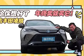 造型够犀利，配置够高级！这台丰田非比寻常？试驾一汽丰田凌放视频封面