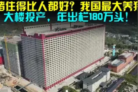 猪住得比人都好？我国最大养猪大楼投产，年出栏120万头！视频封面