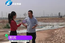河南开封：河南多地冰雹天气，大蒜被砸，老乡们损失严重视频封面